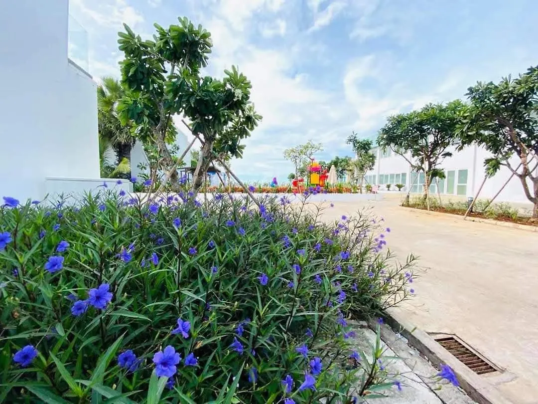Apartment Aria Resort- Can Ho Nghi Duong Huong Bien Co Ho Boi Sat Canh Bai Tam Rieng Mien Phi Vung Tau